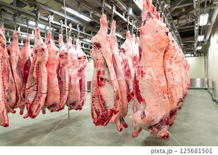 牛肉加工場 枝肉貯蔵庫 牛肉加工場 枝肉貯蔵庫 125681501