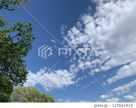 爽やかな青空と新緑 125682918