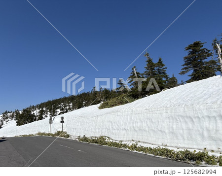 夏季の道路開通直後の渋峠_雪の壁_ゴールデンウィーク 125682994