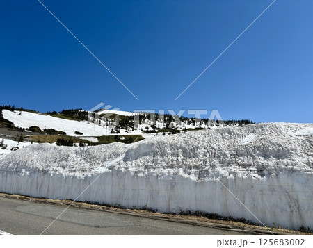 夏季の道路開通直後の渋峠_雪の壁_ゴールデンウィーク 125683002