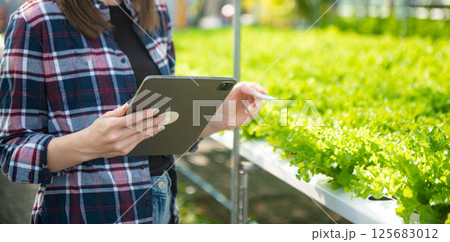 Asian woman farmer looking organic vegetables and holding tablet for checking orders or quality farm Asian woman farmer looking organic vegetables and holding tablet for checking orders or quality farm 125683012
