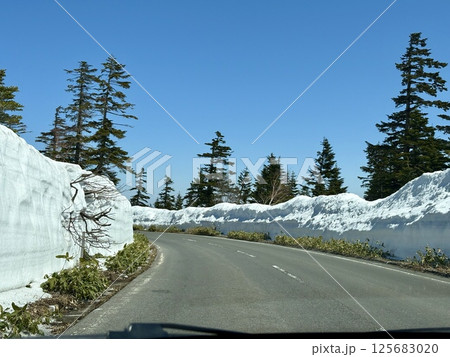 夏季の道路開通直後の渋峠_雪の壁_ゴールデンウィーク 夏季の道路開通直後の渋峠_雪の壁_ゴールデンウィーク 125683020