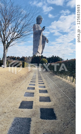 牛久大仏へと続く道 125683693