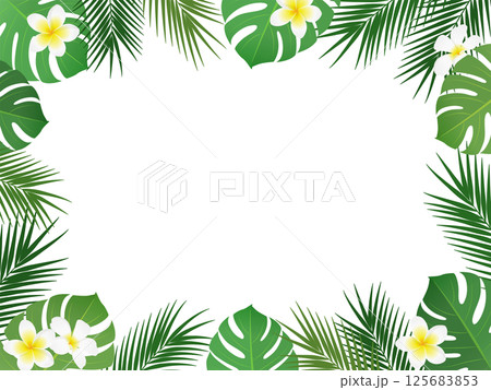 トロピカルな植物のフレーム_ベクターイラスト 125683853