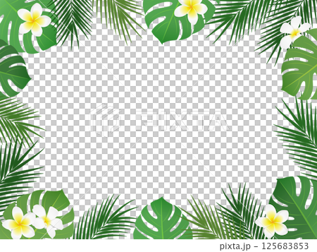トロピカルな植物のフレーム_ベクターイラスト 125683853
