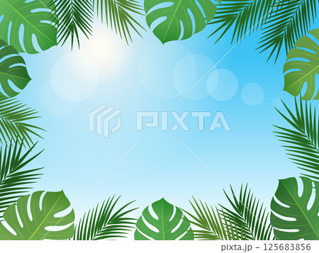 トロピカルな植物と青空のフレーム背景_ベクターイラスト トロピカルな植物と青空のフレーム背景_ベクターイラスト 125683856