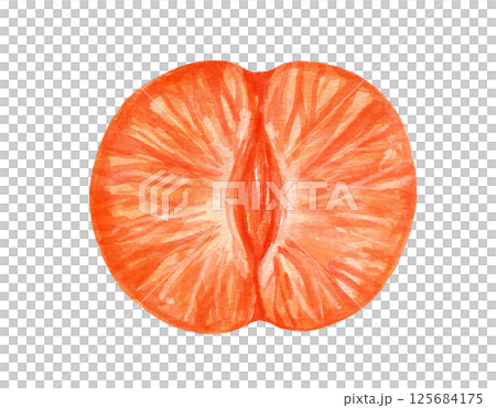 Watercolor half of mandarin, isolated food illustration 125684175