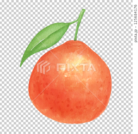 Watercolor tangerine with leaf, isolated food illustration, hand drawn art 125684176