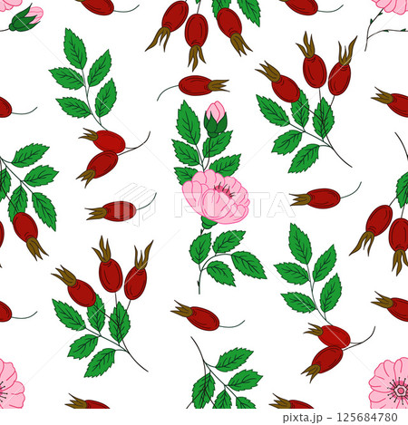 Pattern for textile or kitchen in hand draw style. Seamless pattern 125684780