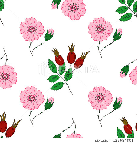 Pattern for textile or kitchen in hand draw style. Seamless pattern 125684801