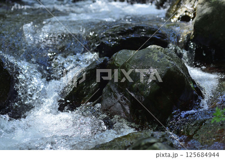 小川の水の流れ 125684944
