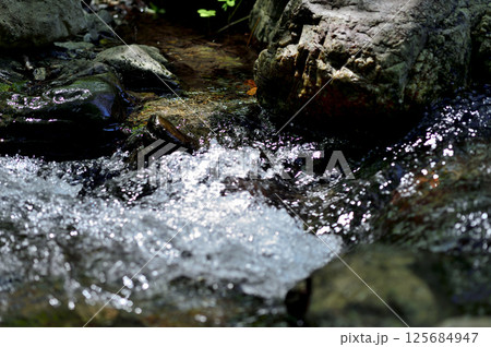 小川の水の流れ 125684947