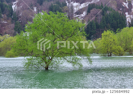 山形県 白川ダム 山形県 白川ダム 125684992
