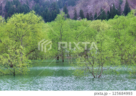 山形県 白川ダム 山形県 白川ダム 125684993