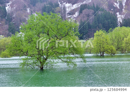 山形県 白川ダム 山形県 白川ダム 125684994