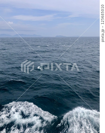 海と島 125685010
