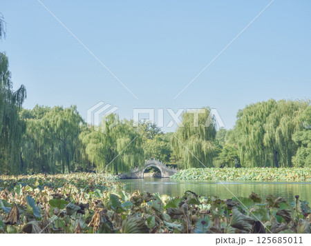 アーチ橋 輪橋 そり橋 125685011