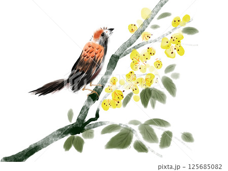 watercolor bird sitting on branch 125685082