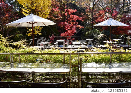静岡県　三島市立公園楽寿園の食事処とお休み処桜 125685581