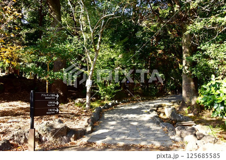 静岡県 三島市立公園楽寿園の散策路と道しるべ 静岡県 三島市立公園楽寿園の散策路と道しるべ 125685585