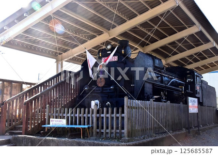 静岡県　三島市立公園楽寿園の蒸気機関車 125685587