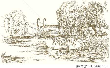 Vector drawing. Two swans in the park lake. Vector drawing. Two swans in the park lake. 125685897