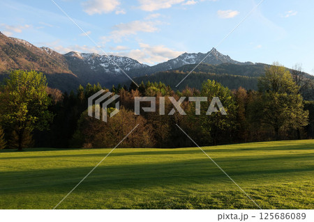 Tranquil Alpine View of Rinnkogel in the Salzkammergut Mountains, Austria Tranquil Alpine View of Rinnkogel in the Salzkammergut Mountains, Austria 125686089