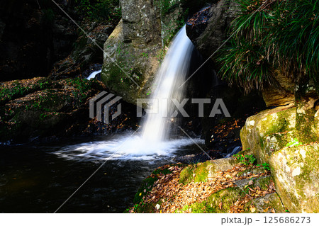 滝川渓谷　おぼろ滝 125686273