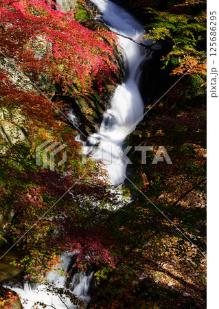 秋の滝川渓谷　銚子の口滝 125686295