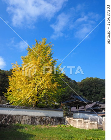 教福寺2024【香川県高松塩江町2 教福寺2024【香川県高松塩江町2 125687203