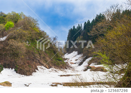 谷間の残雪 125687298