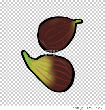Fig illustration material 125687347