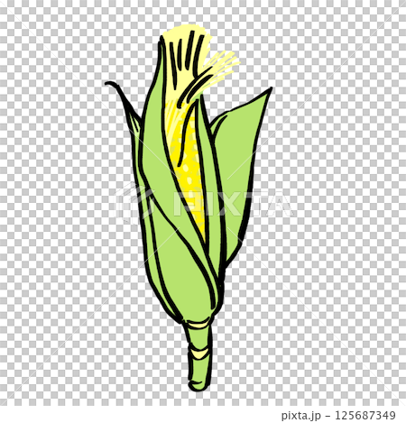 とうもろこしのイラスト素材 125687349