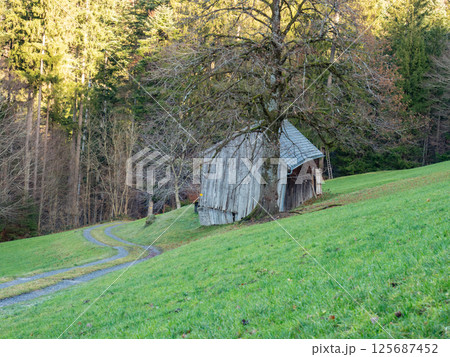 Mogelsberg, Switzerland - January 1st 2024: Dirt road on a green slope with a damaged old shelter 125687452