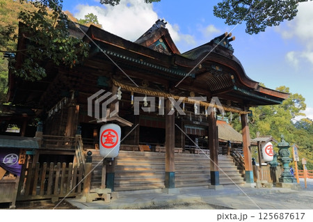 【香川県】春の金刀比羅宮 こんぴらさん(御本宮拝殿・本殿) 【香川県】春の金刀比羅宮 こんぴらさん(御本宮拝殿・本殿) 125687617