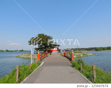 多々良沼公園 浮島弁財天 多々良沼公園 浮島弁財天 125687678
