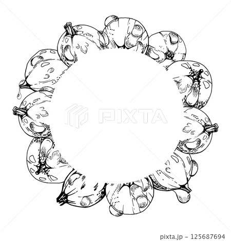 Currant gooseberry closeup in water dew drops, ripe garden berry huckleberry juneberry casseille jostaberry hand drawn in vector ink. Isolated wreath frame. Organic food drink, fresh eco grocery store 125687694