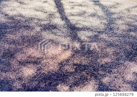 大口町五条川の花筏 大口町五条川の花筏 125688279