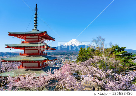 山梨県富士吉田市 春の新倉山浅間公園 富士山と五重塔と桜 山梨県富士吉田市 春の新倉山浅間公園 富士山と五重塔と桜 125688450