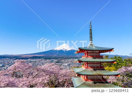 山梨県富士吉田市 春の新倉山浅間公園 富士山と五重塔と桜 山梨県富士吉田市 春の新倉山浅間公園 富士山と五重塔と桜 125688451