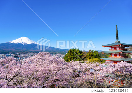 山梨県富士吉田市　春の新倉山浅間公園　富士山と五重塔と桜 125688453