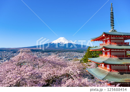 山梨県富士吉田市　春の新倉山浅間公園　富士山と五重塔と桜 125688454