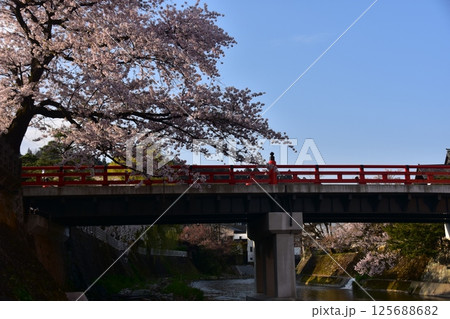 日本の岐阜県 春の高山市 満開の桜と観光名所の中橋と宮川 周辺の街並みと美しい青空 日本の岐阜県 春の高山市 満開の桜と観光名所の中橋と宮川 周辺の街並みと美しい青空 125688682
