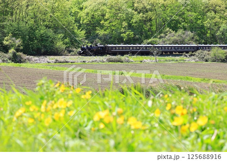真岡鐵道「4月下旬の田園風景を走るSLもおか号」 125688916