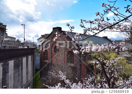 京都・蹴上・第2期蹴上発電所と桜 125688919