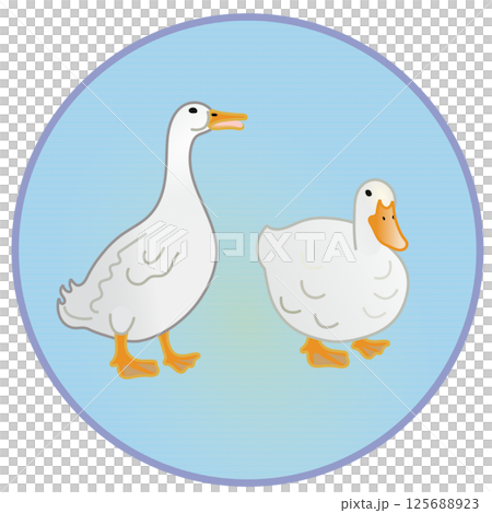 Illustration of a duck with a circular background 125688923