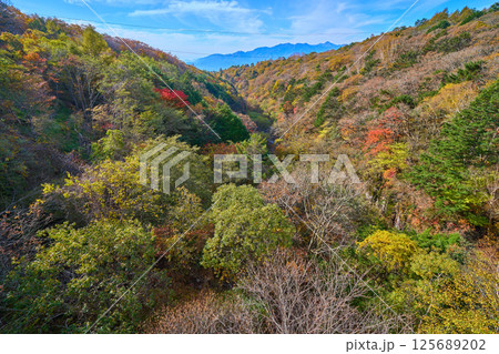 秋の山梨県北杜市の川俣川渓谷にかかる赤い橋(東沢大橋)から南側の南アルプス 125689202