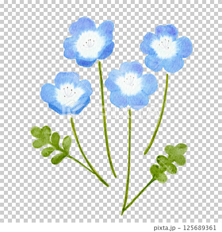 Gentle watercolor nemophila frame illustration 125689361