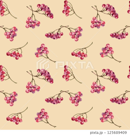 Botanical seamless pattern with guelder rose berries clusters and delicate twigs isolated beige. Red berries watercolor on repeated texture for cottagecore textile, stationery, wrapping paper. 125689409