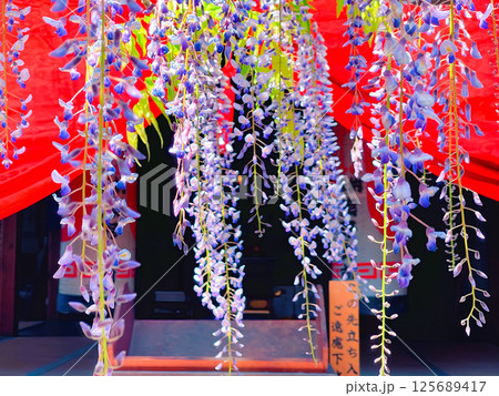 静岡県磐田市・熊野の長藤 125689417